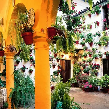 Capitulares Apartment *